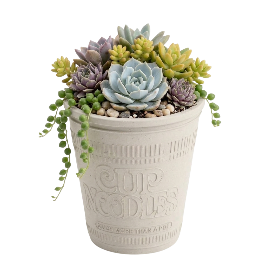 CUP NOODLE PLANTER