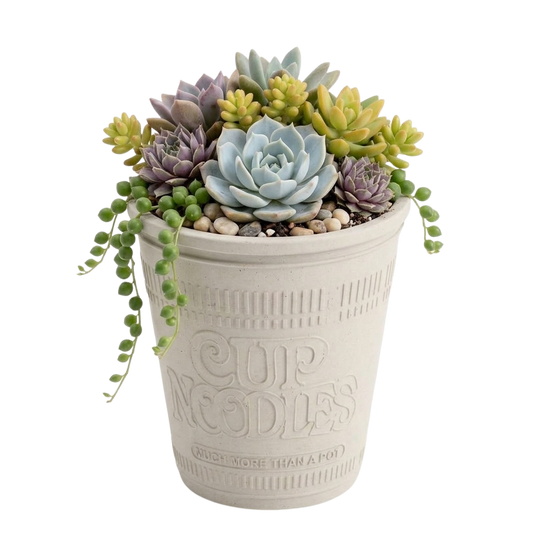 CUP NOODLE PLANTER